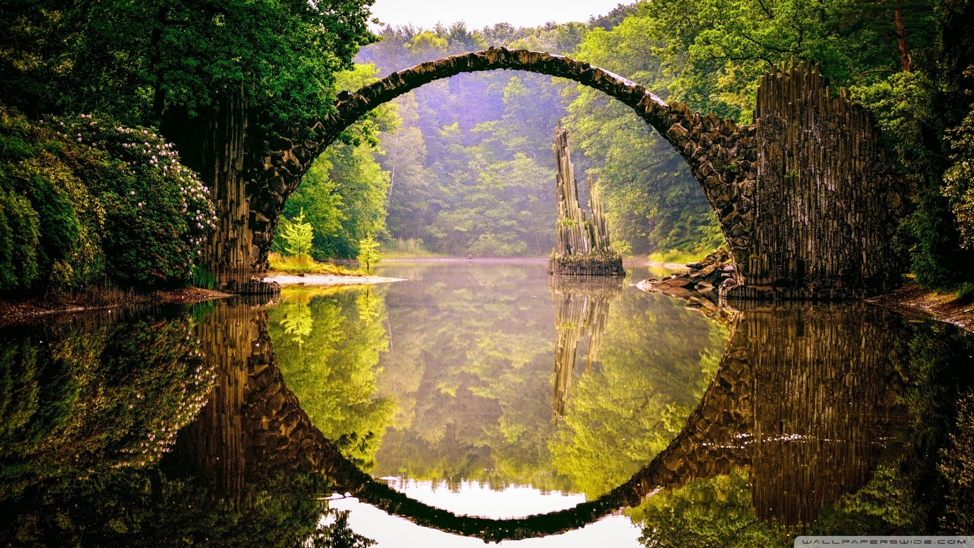 灵芝孢子粉有油味道