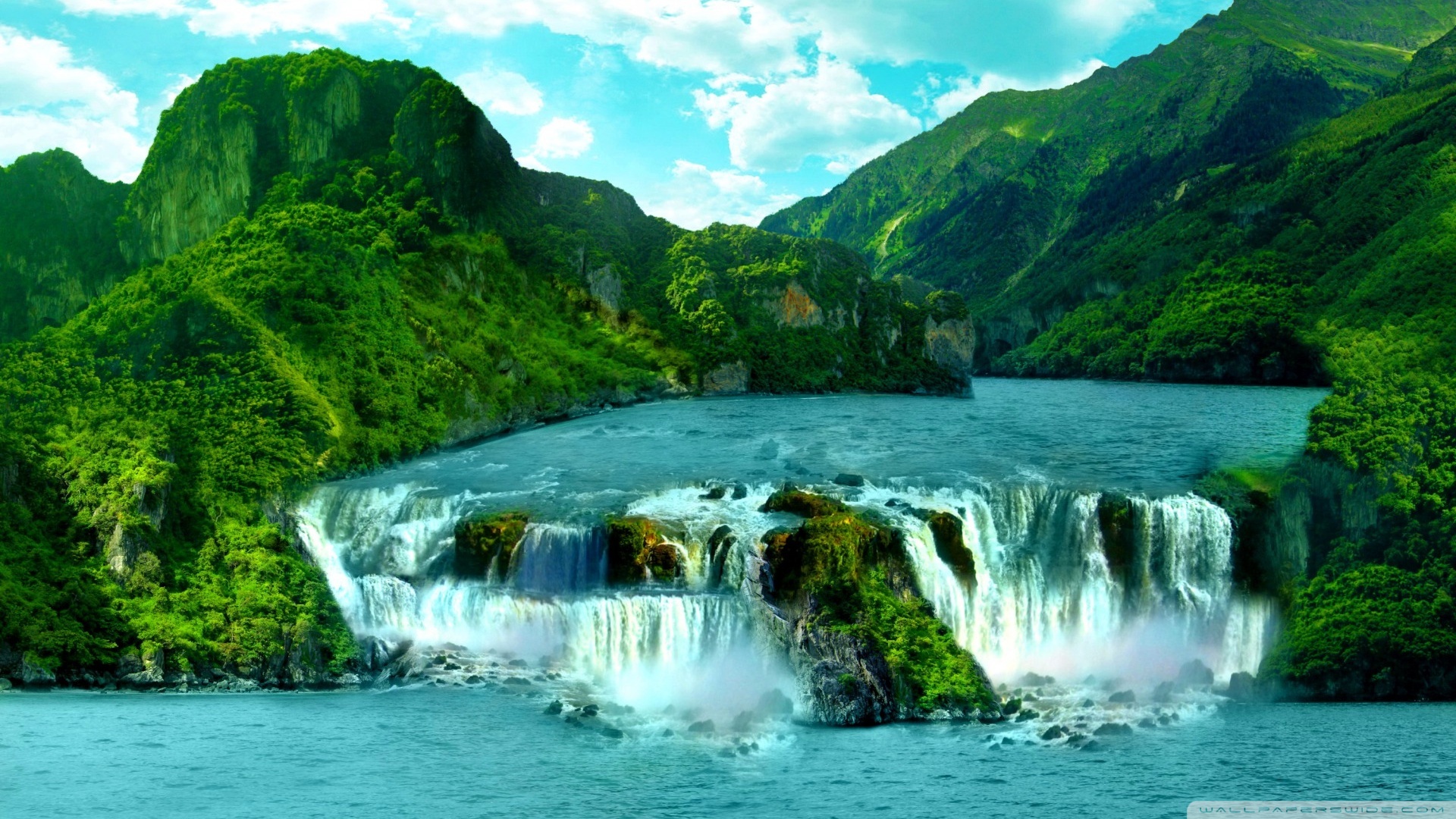 三七產(chǎn)地在什么地方最好